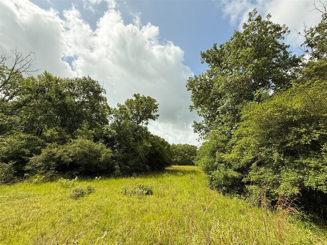 TBDTRACT9 County Road 261, Oakwood, TX 75855 - photo 13