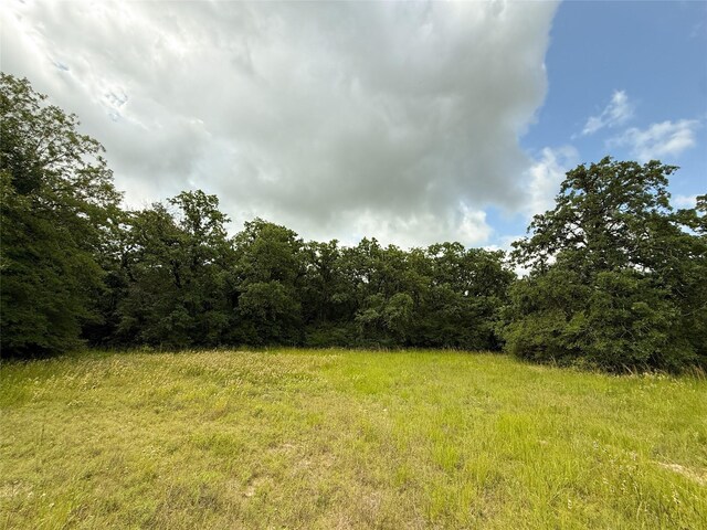 TBDTRACT9 County Road 261, Oakwood, TX 75855 - photo 14