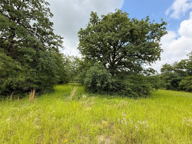 TBDTRACT9 County Road 261, Oakwood, TX 75855 - photo 15