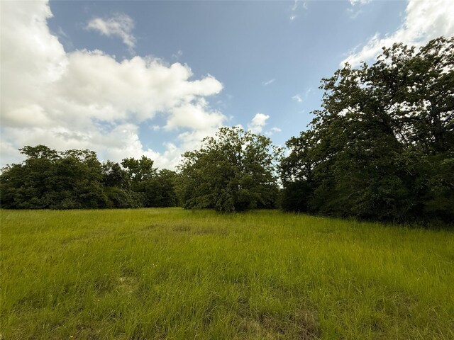 TBDTRACT9 County Road 261, Oakwood, TX 75855 - photo 16