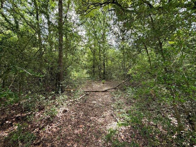 TBDTRACT9 County Road 261, Oakwood, TX 75855 - photo 17