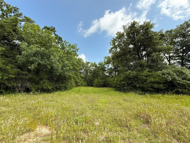TBDTRACT9 County Road 261, Oakwood, TX 75855 - photo 18