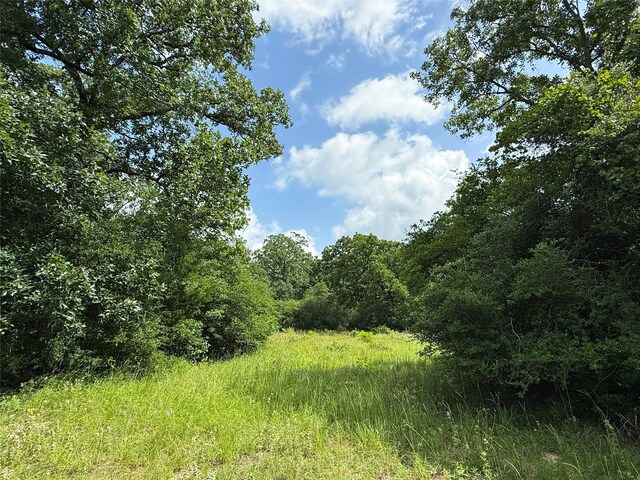 TBDTRACT9 County Road 261, Oakwood, TX 75855 - photo 19
