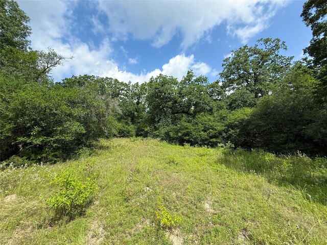 TBDTRACT9 County Road 261, Oakwood, TX 75855 - photo 21