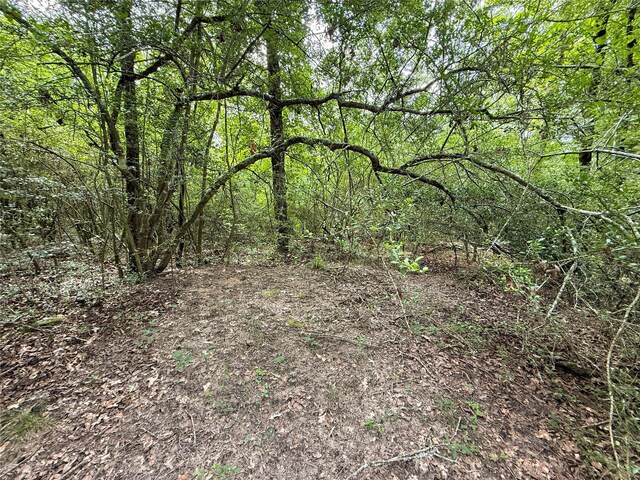 TBDTRACT9 County Road 261, Oakwood, TX 75855 - photo 23