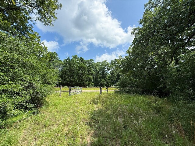 TBDTRACT9 County Road 261, Oakwood, TX 75855 - photo 24