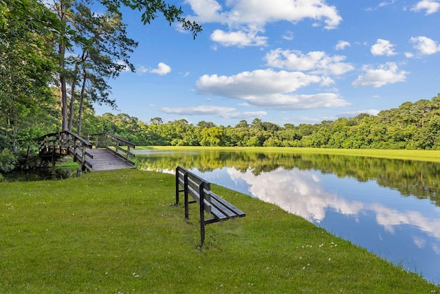 22206 Lantana Dr, Magnolia, TX 77355 - water view with a heavily wooded area