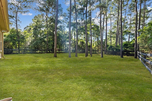 22206 Lantana Dr, Magnolia, TX 77355 - view of yard