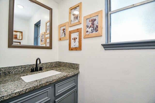 15710 T C Jester Blvd, Houston, TX 77068 - bathroom featuring healthy amount of natural light and vanity