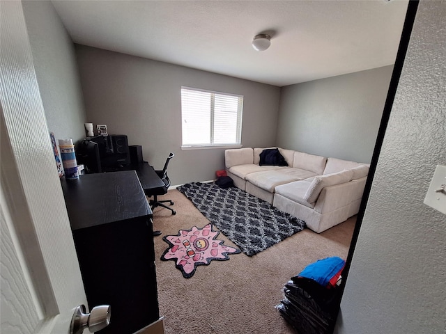 20331 Weeping Pine Way, Richmond, TX 77407 - view of carpeted home office