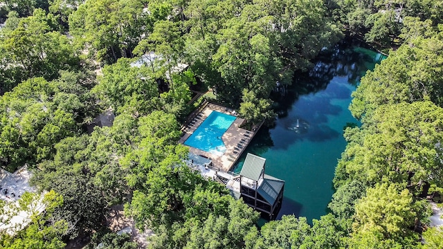 169 Litchfield Ln, Houston, TX 77024 - bird's eye view of a nearby body of water and a pool