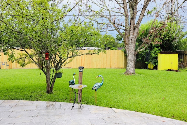 1108 Easy St, Rosenberg, TX 77471 - fenced backyard featuring a patio