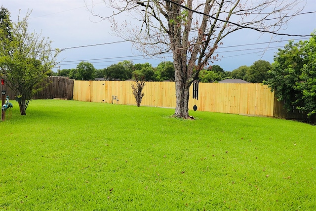 1108 Easy St, Rosenberg, TX 77471 - view of fenced backyard