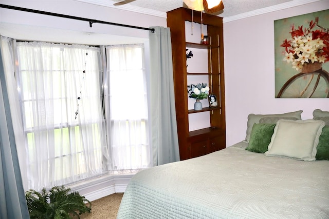 1108 Easy St, Rosenberg, TX 77471 - bedroom with crown molding and carpet floors