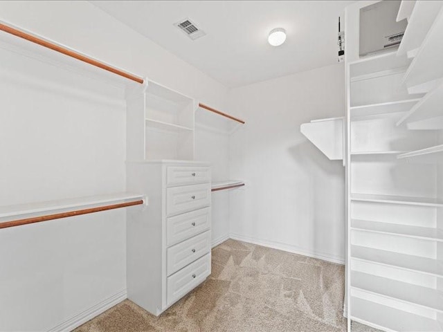 405 Reinerman St, Houston, TX 77007 - spacious closet featuring light carpet