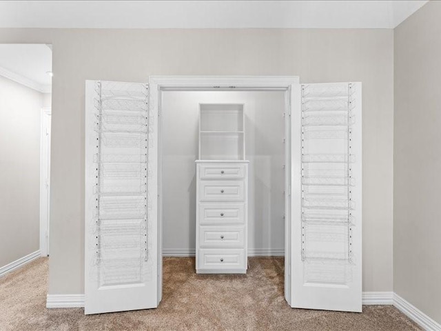 405 Reinerman St, Houston, TX 77007 - view of closet