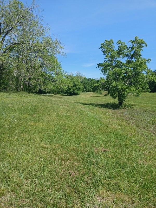 923 Y U Jones Rd, Richmond, TX 77469 - photo 41
