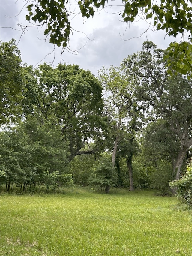 923 Y U Jones Rd, Richmond, TX 77469 - photo 48