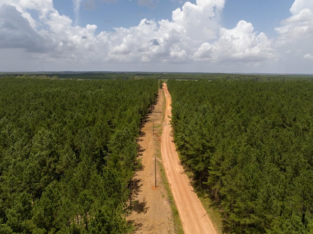 1 Benny Griffin Rd, Tx, TX 77351