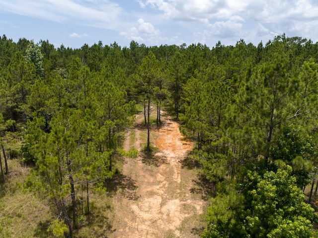 1 Benny Griffin Rd, Tx, TX 77351