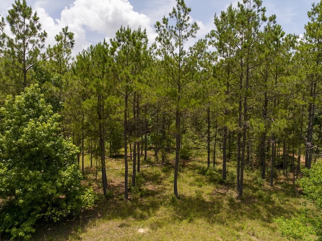1 Benny Griffin Rd, Tx, TX 77351