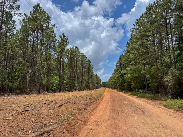 1 Benny Griffin Rd, Tx, TX 77351