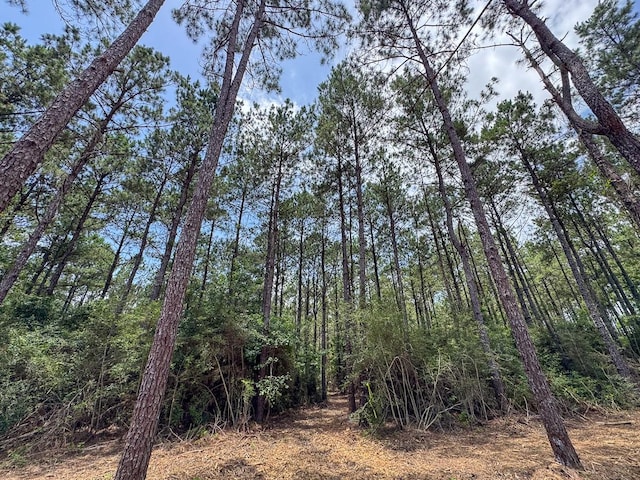 1 Benny Griffin Rd, Tx, TX 77351