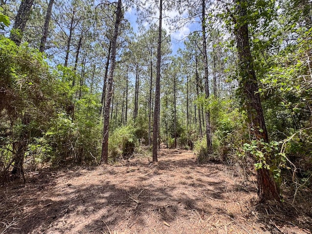 1 Benny Griffin Rd, Tx, TX 77351