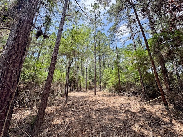 1 Benny Griffin Rd, Tx, TX 77351