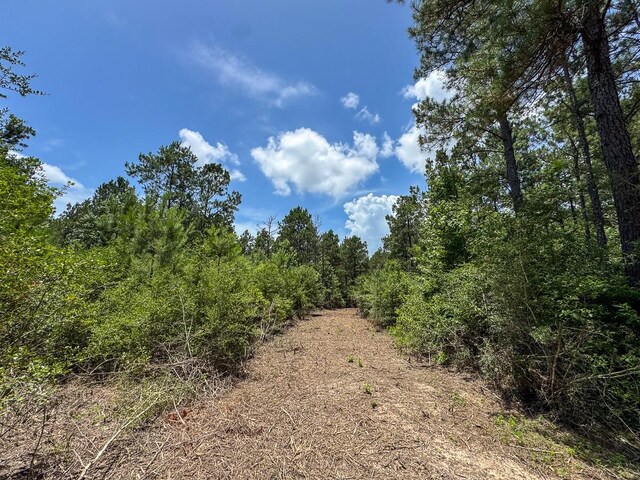 1 Benny Griffin Rd, Tx, TX 77351