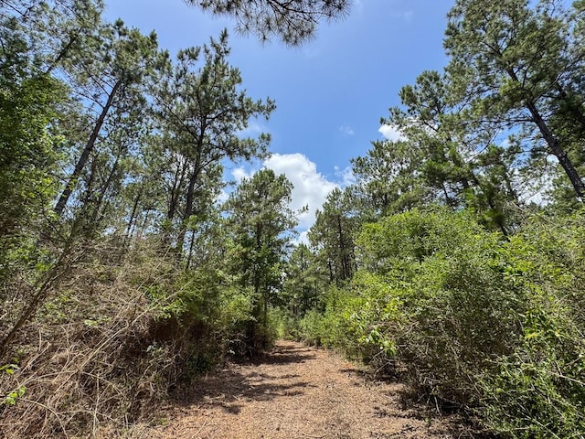 1 Benny Griffin Rd, Tx, TX 77351