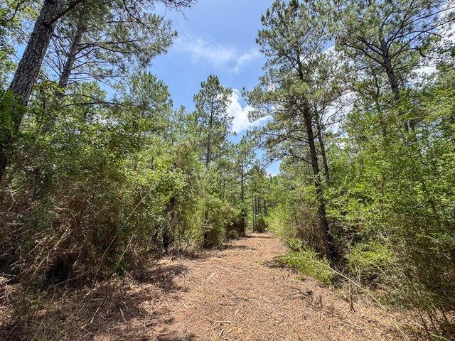 1 Benny Griffin Rd, Tx, TX 77351
