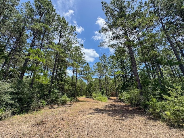 1 Benny Griffin Rd, Tx, TX 77351