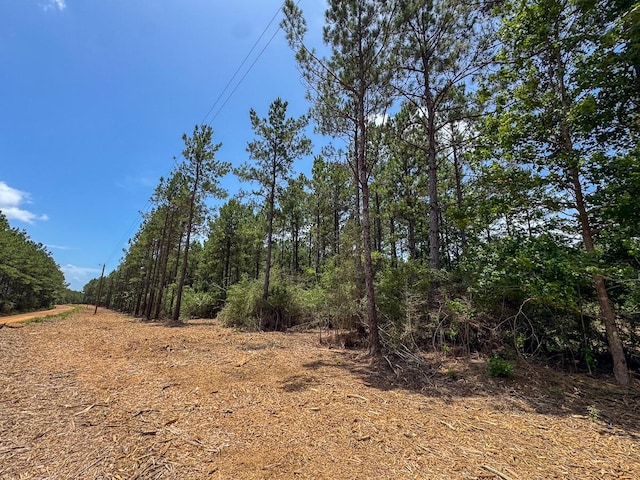 1 Benny Griffin Rd, Tx, TX 77351