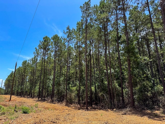 1 Benny Griffin Rd, Tx, TX 77351