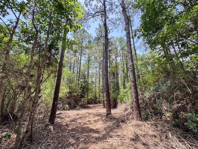 1 Benny Griffin Rd, Tx, TX 77351