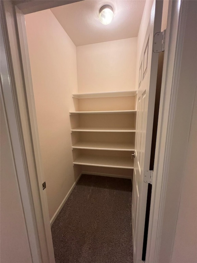 6633 W Sam Houston Pkwy S Unit 1A, Houston, TX 77072 - walk in closet with carpet floors