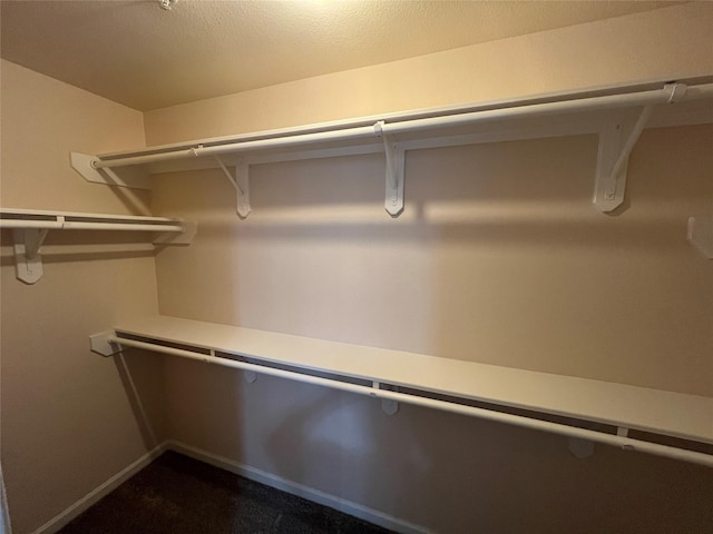 6633 W Sam Houston Pkwy S Unit 1A, Houston, TX 77072 - view of spacious closet