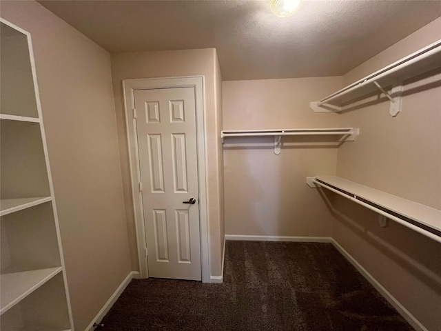 6633 W Sam Houston Pkwy S Unit 1A, Houston, TX 77072 - walk in closet with dark colored carpet