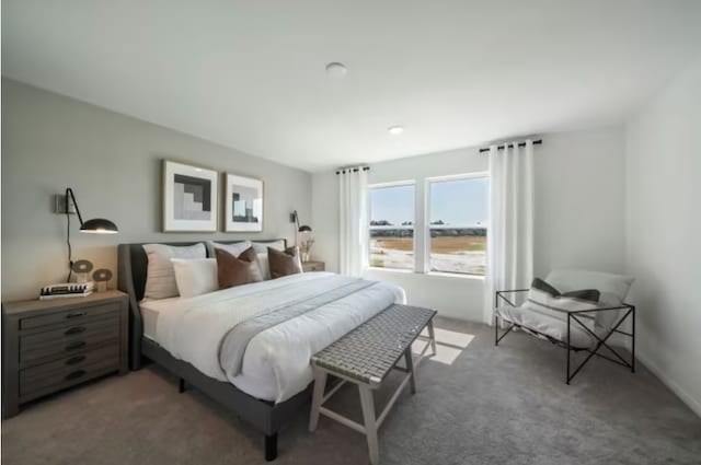 16424 Windy Cove Ct, Conroe, TX 77378 - view of carpeted bedroom