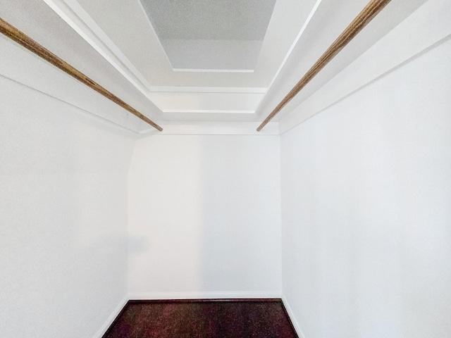 811 Lovett Blvd Unit 25, Houston, TX 77006 - view of spacious closet