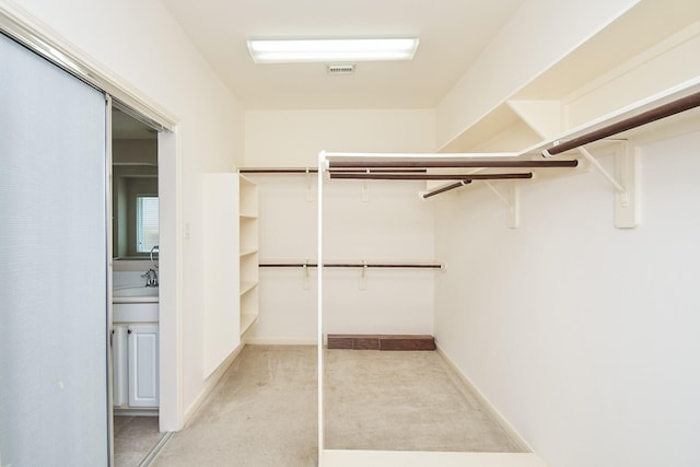 5506 Plumero Meadow Dr, Katy, TX 77494 - walk in closet with light carpet and a sink