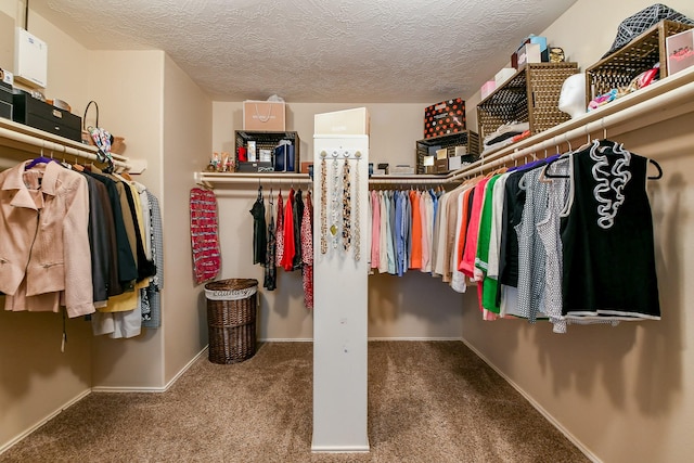 18303 June Forest Dr, Humble, TX 77346 - walk in closet featuring carpet flooring