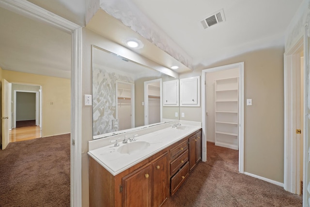 10803 Shawnbrook Dr, Houston, TX 77071 - full bathroom featuring double vanity and a spacious closet