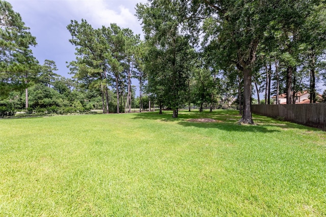 27514 Siandra Creek Ln, Spring, TX 77386 - view of yard