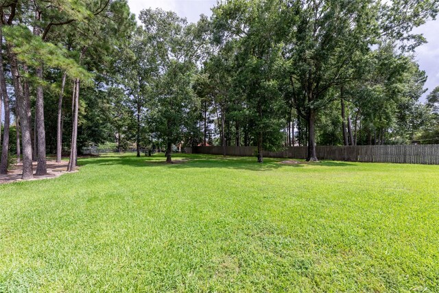 27514 Siandra Creek Ln, Spring, TX 77386 - view of yard