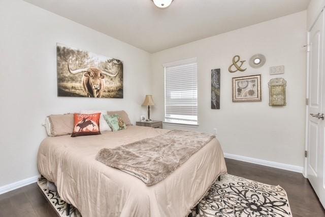 705 Kitty Hawk Rd, Georgetown, TX 78633 - photo 17