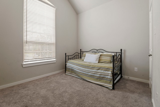 7706 Wildflower Spring Ct, Spring, TX 77379