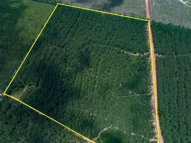 4 Benny Griffin Rd, Tx, TX 77351