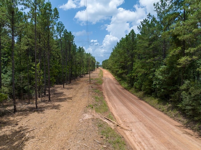 4 Benny Griffin Rd, Tx, TX 77351